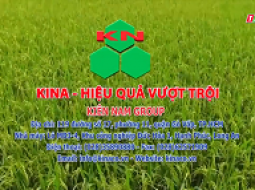 TỰ GIỚI THIỆU KIÊN NAM GROUP