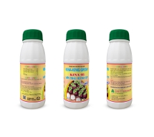 Phân bón KINA-KING GROW (KINA 03) - Lớn trái măng cụt