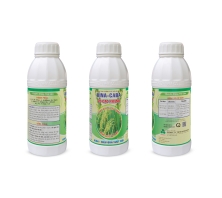 Phân bón KINA - CABA VÔ GẠO NHANH
