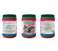 Thuốc điều hòa sinh trưởng FORGROW 5PA - Hồng